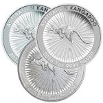 1 oz Silver Australian Kangaroo Coins (Random Year, Varied Condition)