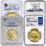 1 oz Gold American Buffalo Coins MS69 (Random Year, Varied Label, PCGS or NGC)