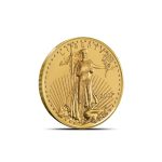 2007 1/10 oz Gold American Eagle Coins