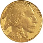 2009 1 oz Proof Gold American Buffalo Coin (Box + CoA)