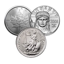 1/10 oz Platinum Coin (Random Year, Varied Condition, Any Mint)