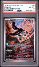 PSA 8 Mawile 246 Illustration Rare Ascended Heroes Pokemon
