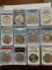 Lot of 12 Silver Eagles