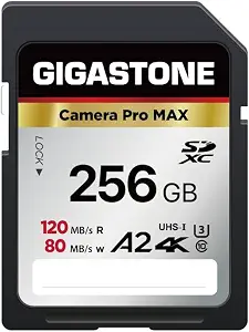 【5-Years Data Recovery】 GIGASTONE 256GB SD Card 4K Camera Pro MAX, UHS-I A2 4K SDXC Memory Card High Speed 4K UHD Video Speed up to 170MB/s Compatible with Kodak Digital Camera with 1 Mini case
