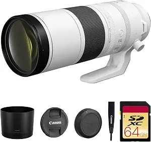 Canon RF 200-800mm f/6.3-9 IS USM Lens