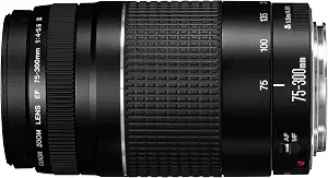 Canon EF 75-300mm f/4-5.6 III Lens