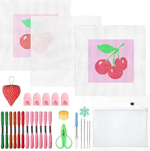 HOMAR 30Pcs Cherries 18 Mesh Painted Needlepoint Canvas Kit for Beginners
