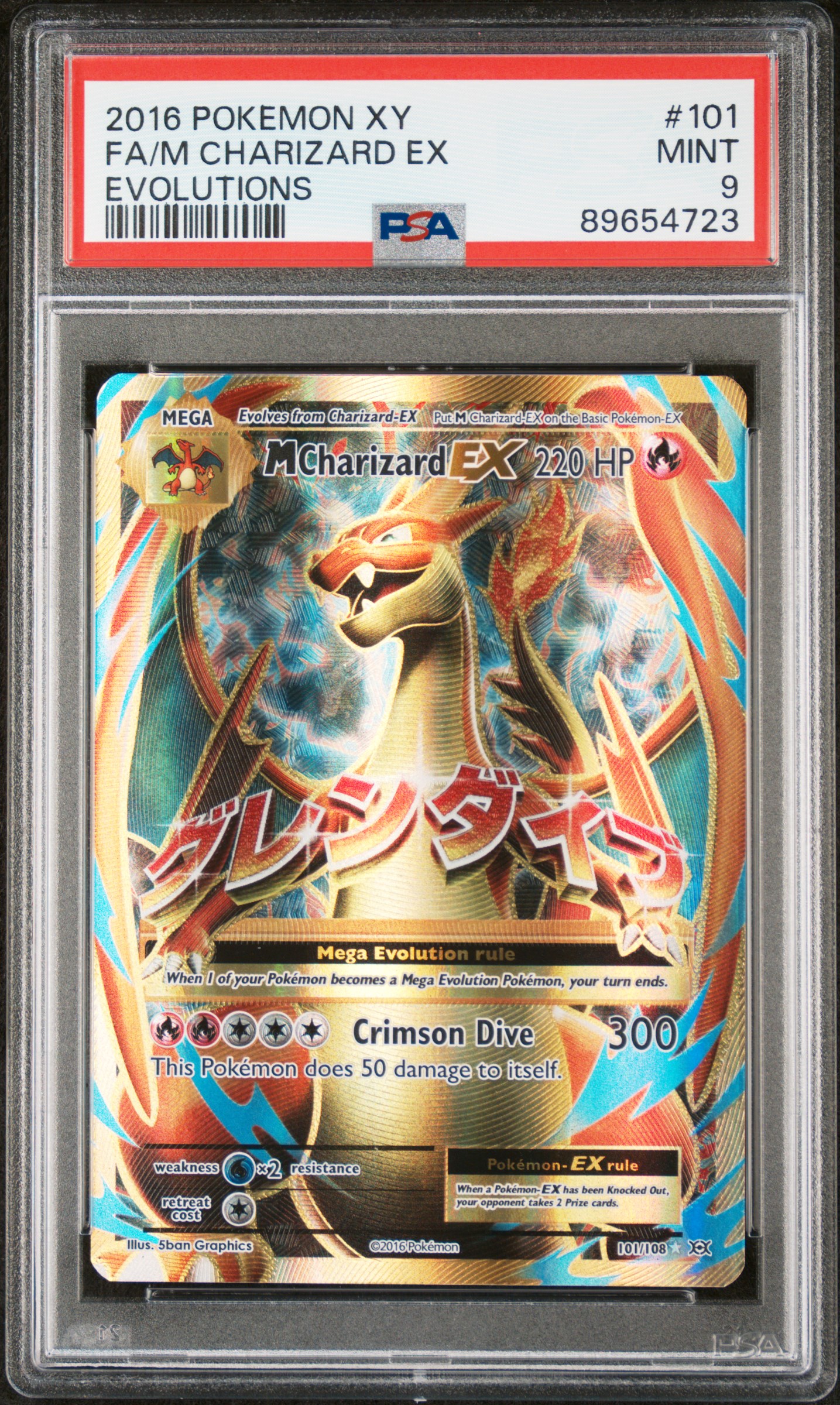 XY EVOLUTIONS