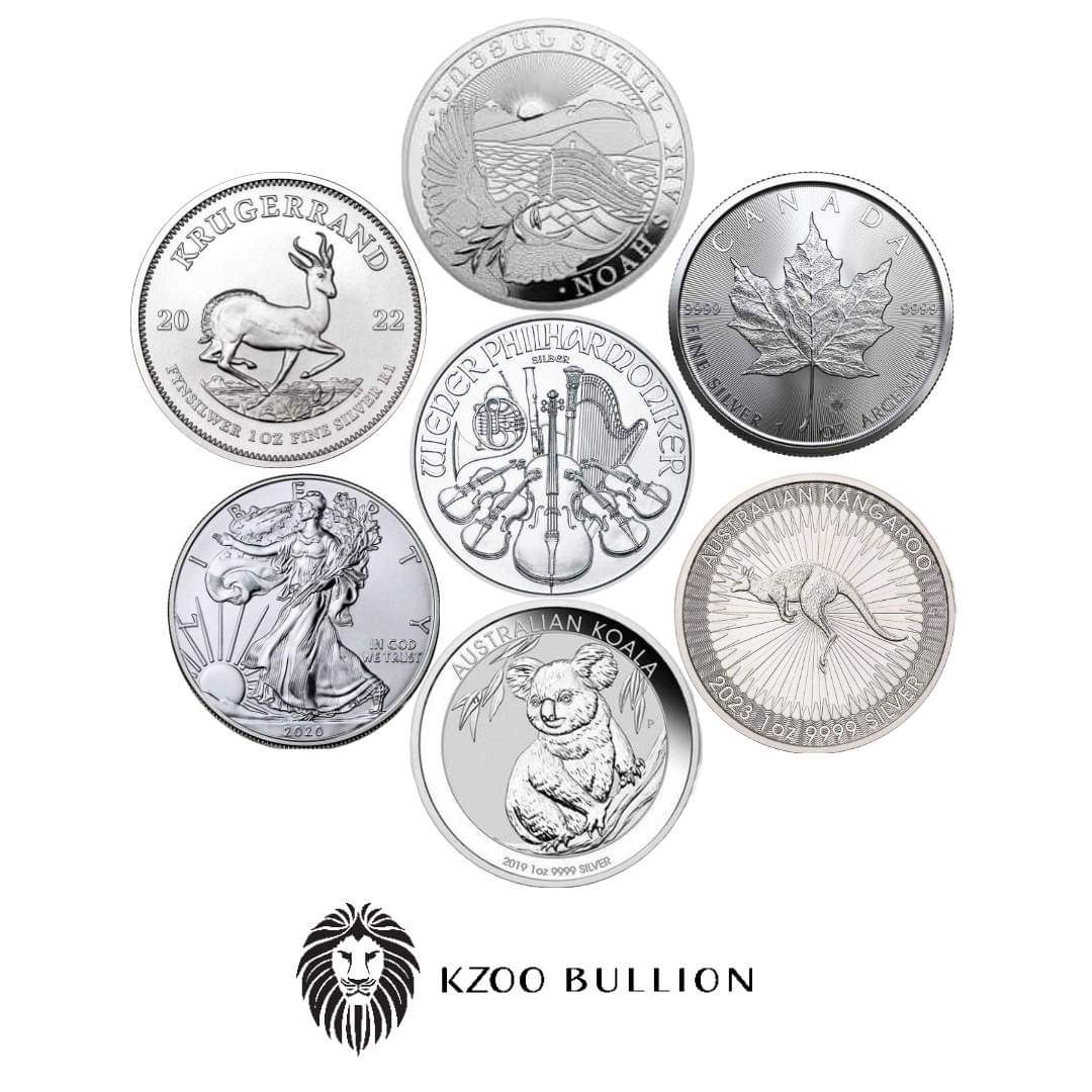 1 oz 999+ Silver Coin from Various Governments and Mints