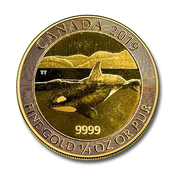 2019 1/4 oz Canadian Orca Whale Gold Coin (BU)